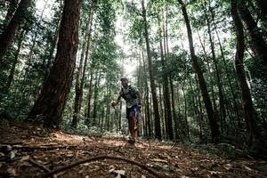 BIB: 
                            <button type="button" onclick="openModal(25261333)" class="btn btn-primary btn-sm float-right btn-popup" data-toggle="modal" data-target=".modal-high-quality">
                        <i class="fas fa-shopping-cart"></i> Add to Cart
                    </button>
                                            <button type="button" onclick="isThisMe(25261333, true)" class="btn btn-success btn-sm float-right btn-popup btn-isme hidden" data-toggle="tooltip" data-placement="bottom" title="นี่คือรูปของคุณใช่ไหม คลิกที่นี่เพื่อเอาเข้าอัลบั้ม">
                        <i class="fas fa-plus"></i> Add to album
                    </button>
                    <button type="button" onclick="isThisMe(25261333, false)" class="btn btn-warning btn-sm float-right btn-popup btn-isnotme hidden">
                        <i class="fas fa-ban"></i> Remove from album
                    </button>